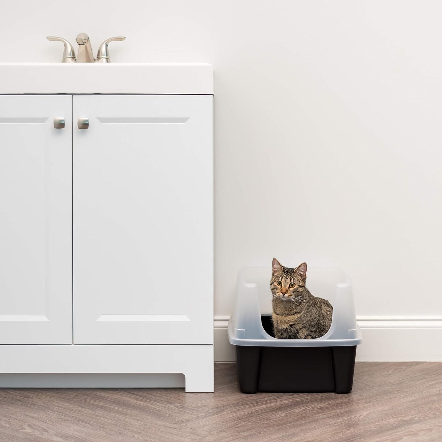 High-Sided Cat Litter Box with Scoop