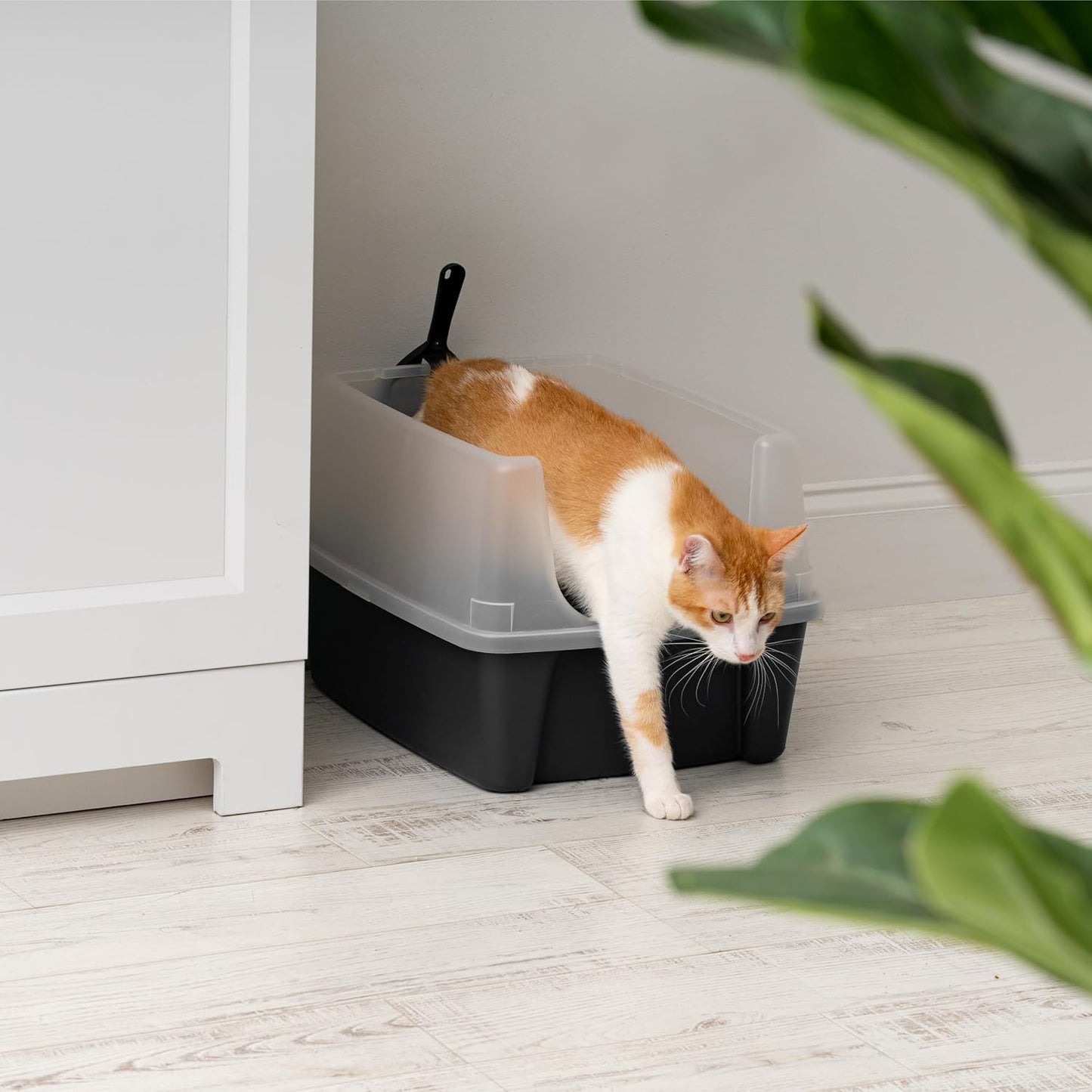 High-Sided Cat Litter Box with Scoop